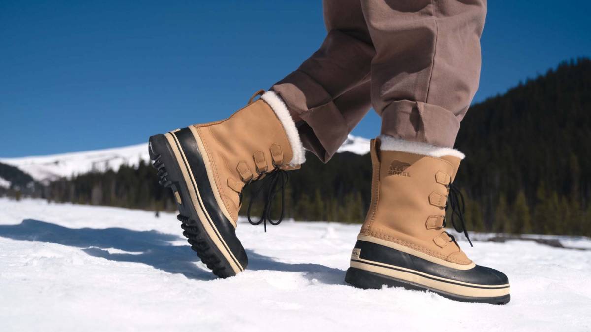 sorel_evolution.04c0abf76af35f57007c-scaled