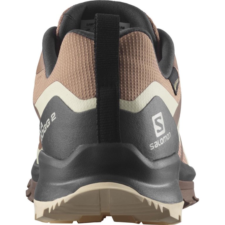 Взуття Salomon XA Rogg 2 GTX W - коричневий/бежевий