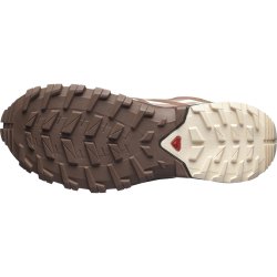 Взуття Salomon XA Rogg 2 GTX W - коричневий/бежевий