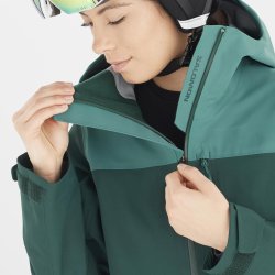 Куртка Salomon Stance 3L Jacket W - зелена
