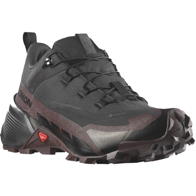Взуття Salomon Cross Hike GTX 2 W - чорний