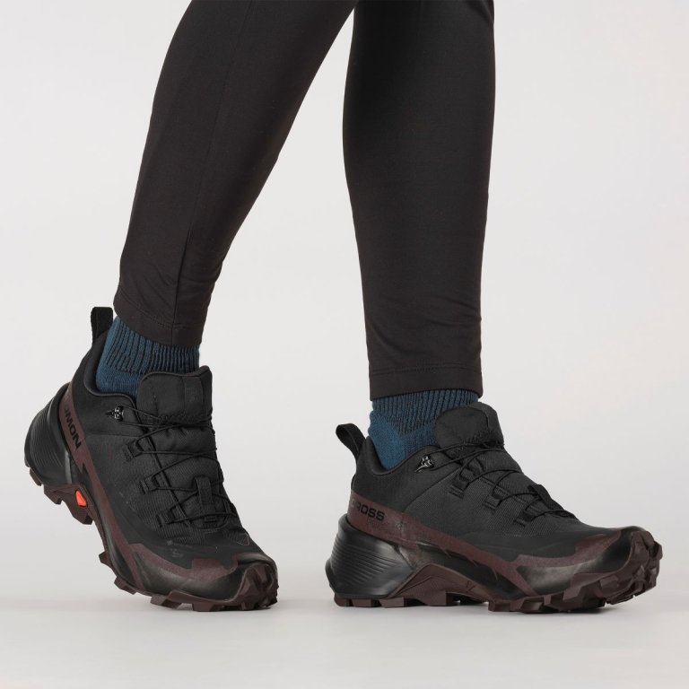 Взуття Salomon Cross Hike GTX 2 W - чорний