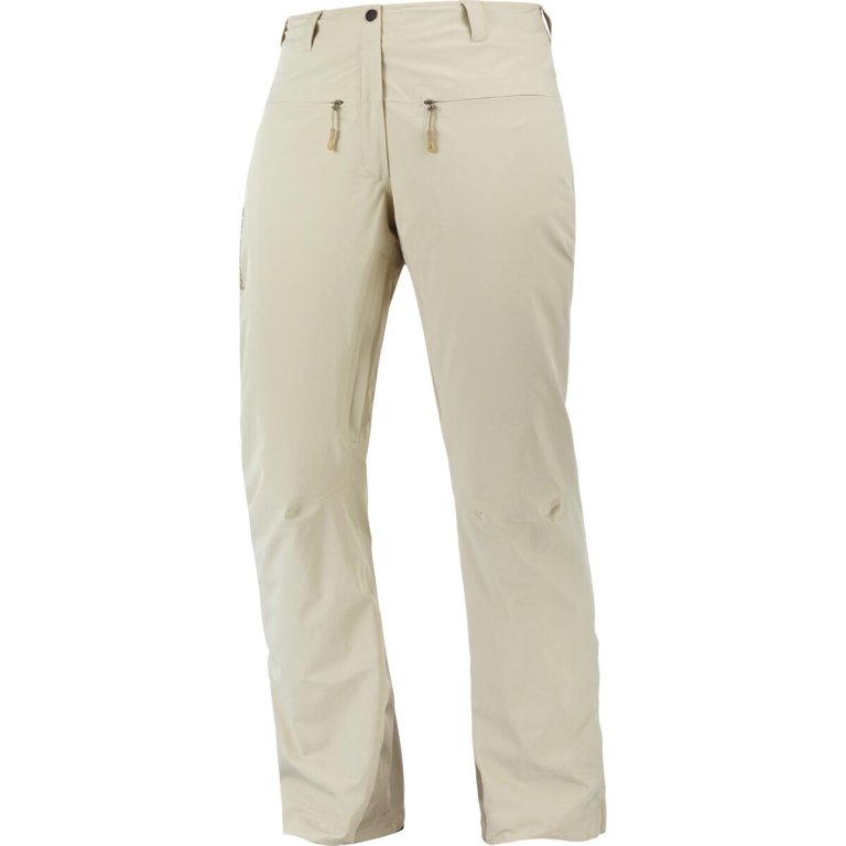 Штани Salomon Brilliant Pants (стандартна довжина) W - бежевий