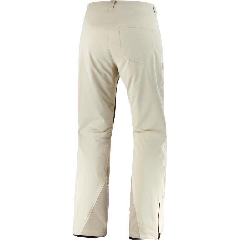Штани Salomon Brilliant Pants (стандартна довжина) W - бежевий