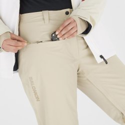 Штани Salomon Brilliant Pants (стандартна довжина) W - бежевий