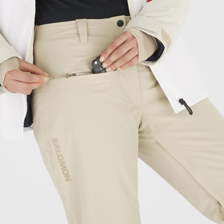 Штани Salomon Brilliant Pants (стандартна довжина) W - бежевий
