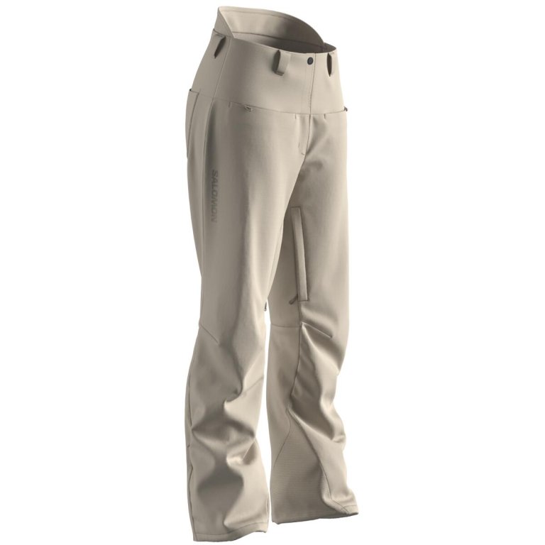 Штани Salomon Brilliant Pants (стандартна довжина) W - бежевий