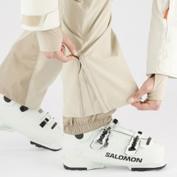 Штани Salomon Brilliant Pants (стандартна довжина) W - бежевий