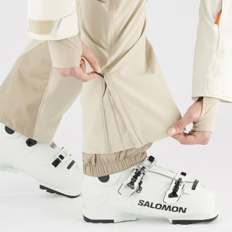 Штани Salomon Brilliant Pants (стандартна довжина) W - бежевий