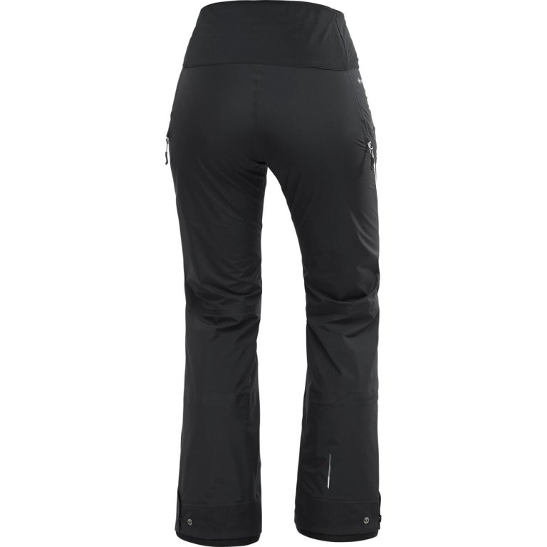 Штани Salomon Mountain GTX 3L Pants W - чорний