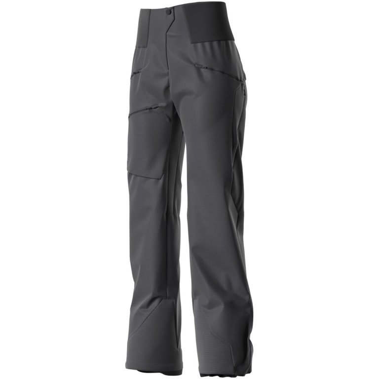 Штани Salomon Mountain GTX 3L Pants W - чорний