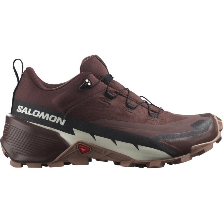 Взуття Salomon Cross Hike GTX 2 W - червоний