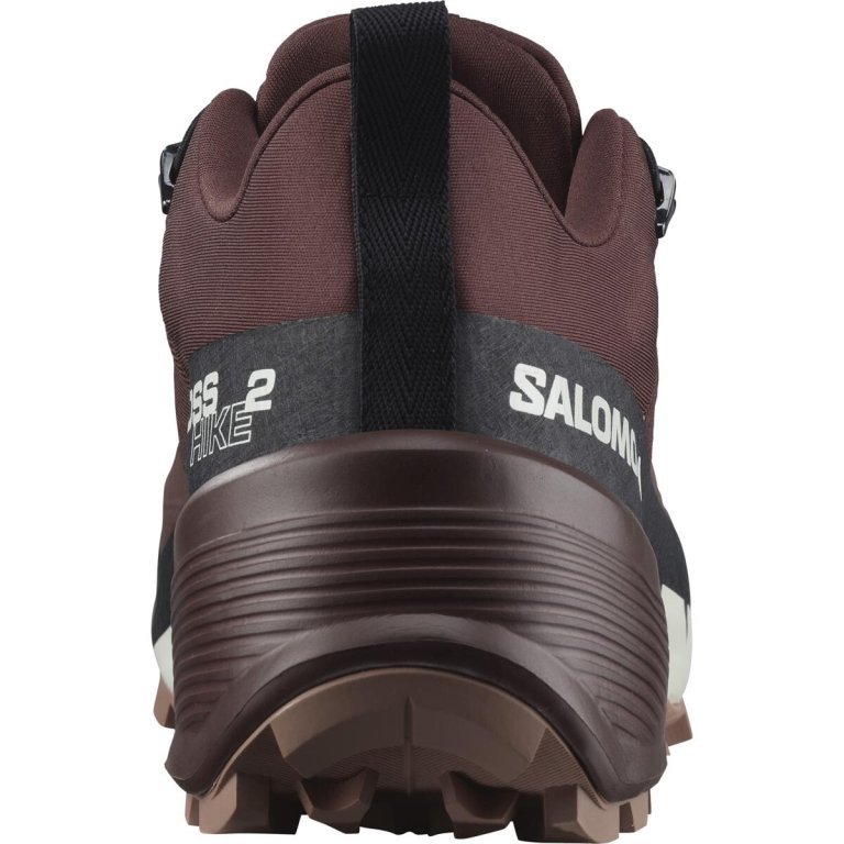 Взуття Salomon Cross Hike GTX 2 W - червоний