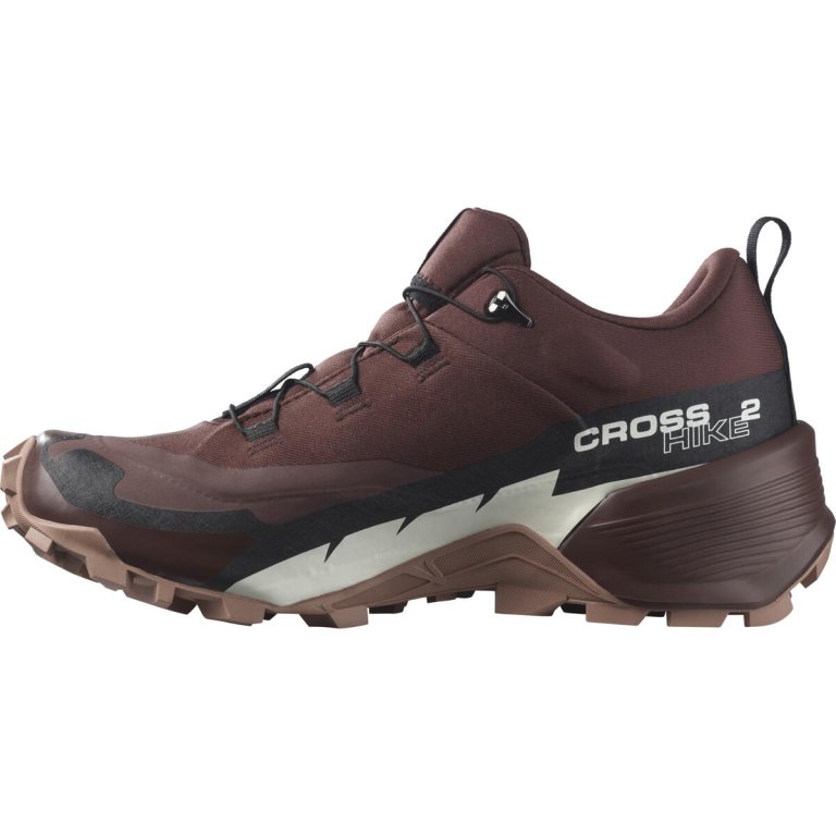Взуття Salomon Cross Hike GTX 2 W - червоний