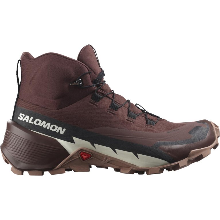 Взуття Salomon Cross Hike Mid GTX 2 W - коричневий