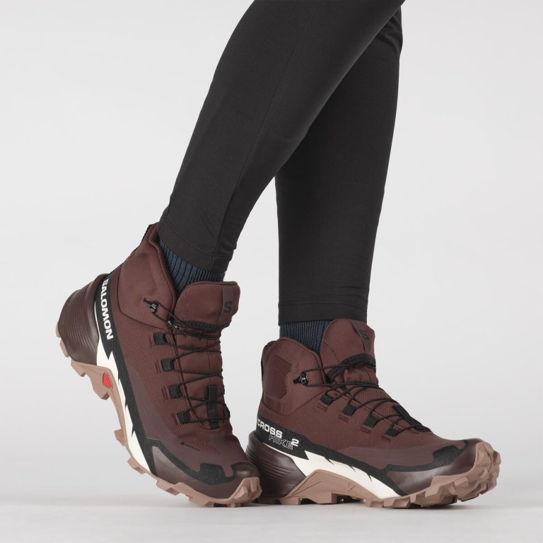 Взуття Salomon Cross Hike Mid GTX 2 W - коричневий