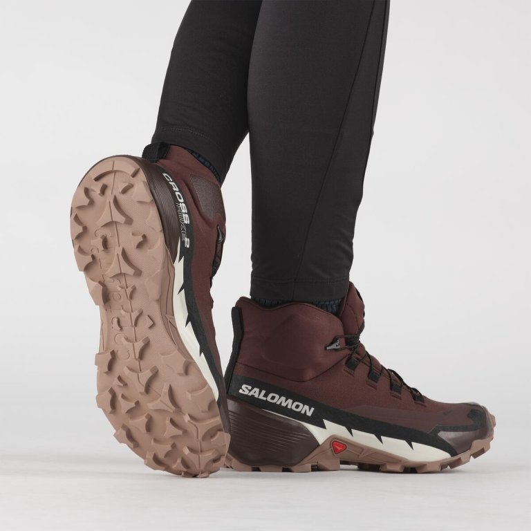 Взуття Salomon Cross Hike Mid GTX 2 W - коричневий