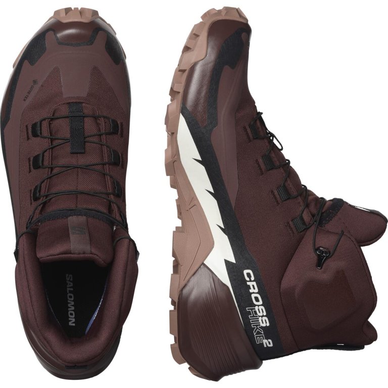 Взуття Salomon Cross Hike Mid GTX 2 W - коричневий