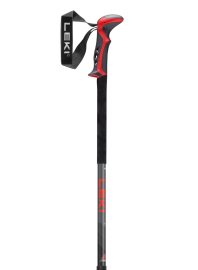 Leki_Haute_Route_2_15_4a25