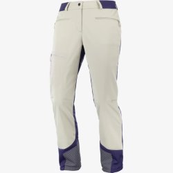 Штани Salomon MTN GTX® Softshell Pant W - білий/синій
