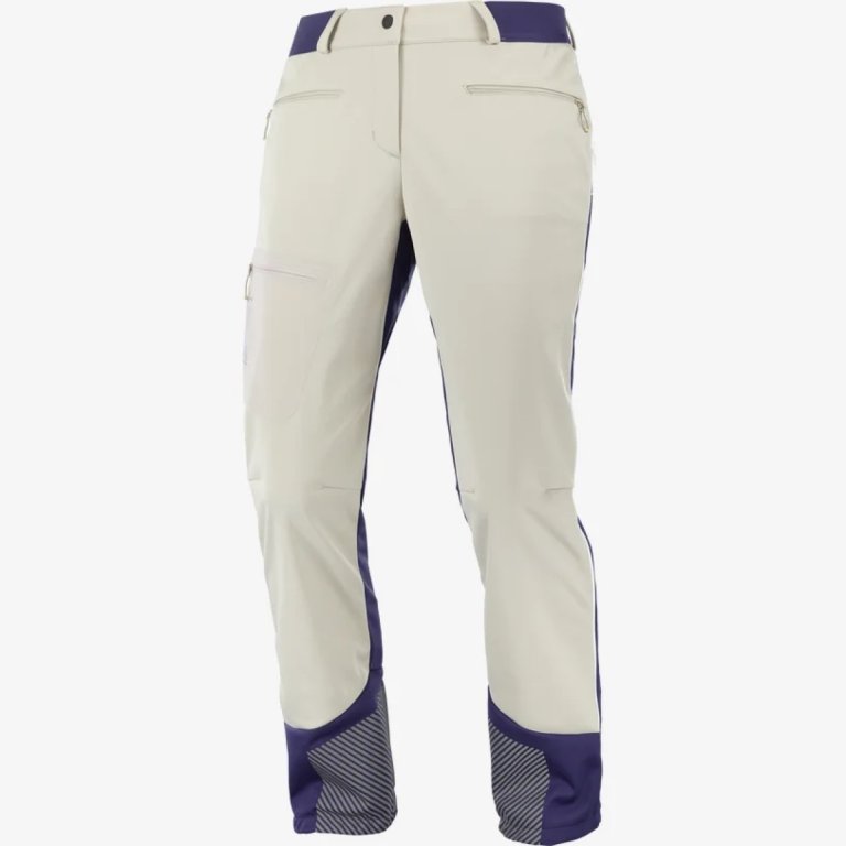 Штани Salomon MTN GTX® Softshell Pant W - білий/синій