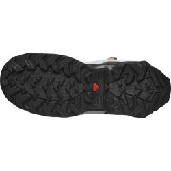 Взуття Salomon X Raise Mid GTX Jr - сірий