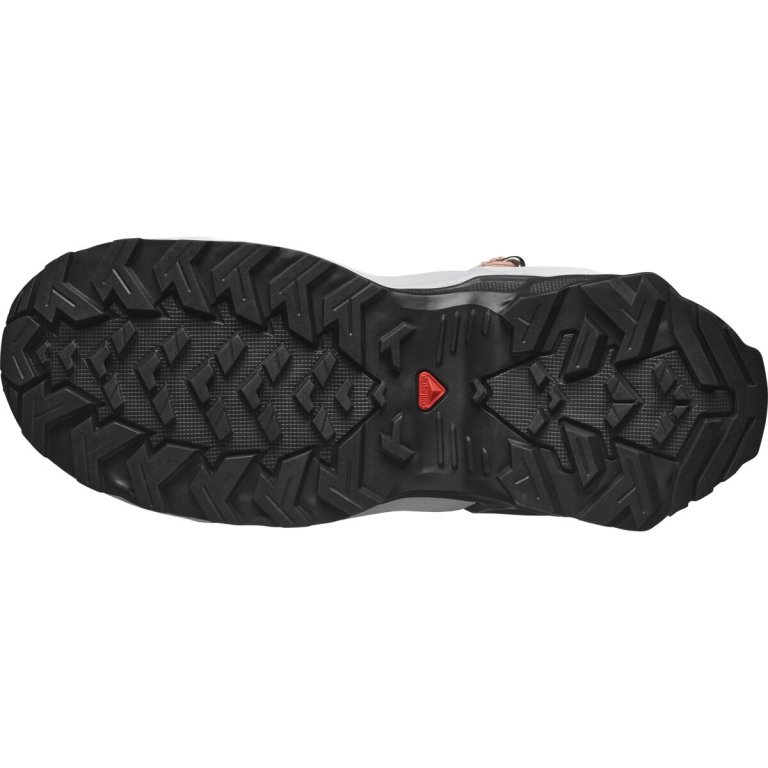 Взуття Salomon X Raise Mid GTX Jr - сірий