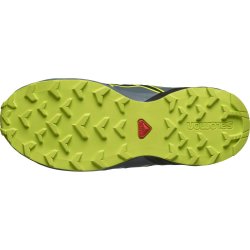 Взуття Salomon Speedcross Cswp J - синій/зелений