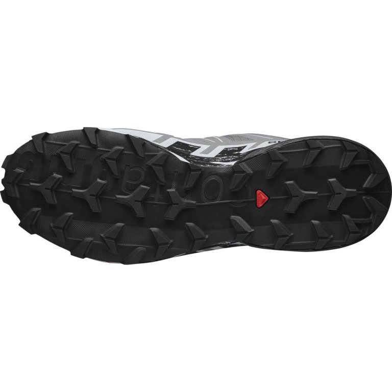 Взуття Salomon Speedcross 6 Wide M - сірий