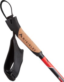 iic-mckinley-410416-900-detail-x-0004