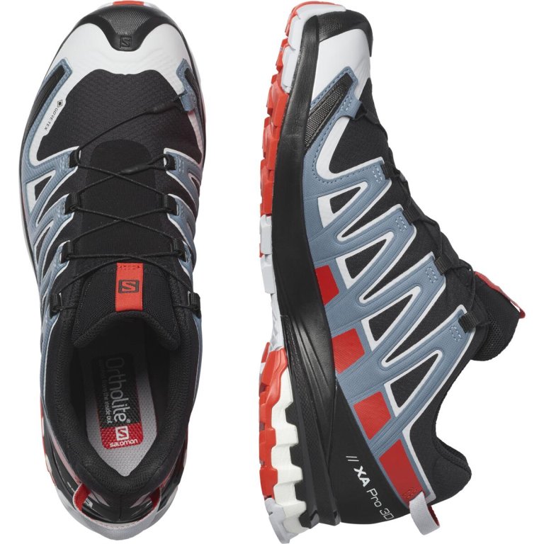 Кросівки Salomon Xa Pro 3D v8 GTX M - чорні/сірі/червоні