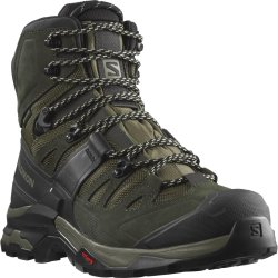 Взуття Salomon QUEST 4 GTX M - хакі/чорне