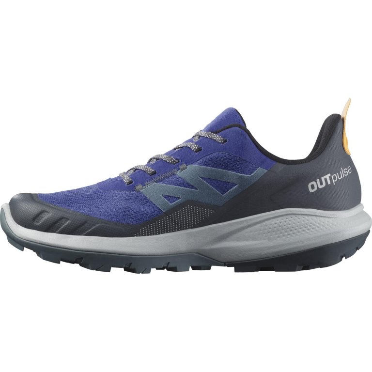 Кросівки Salomon Outpulse GTX M - сині