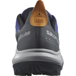 Кросівки Salomon Outpulse GTX M - сині