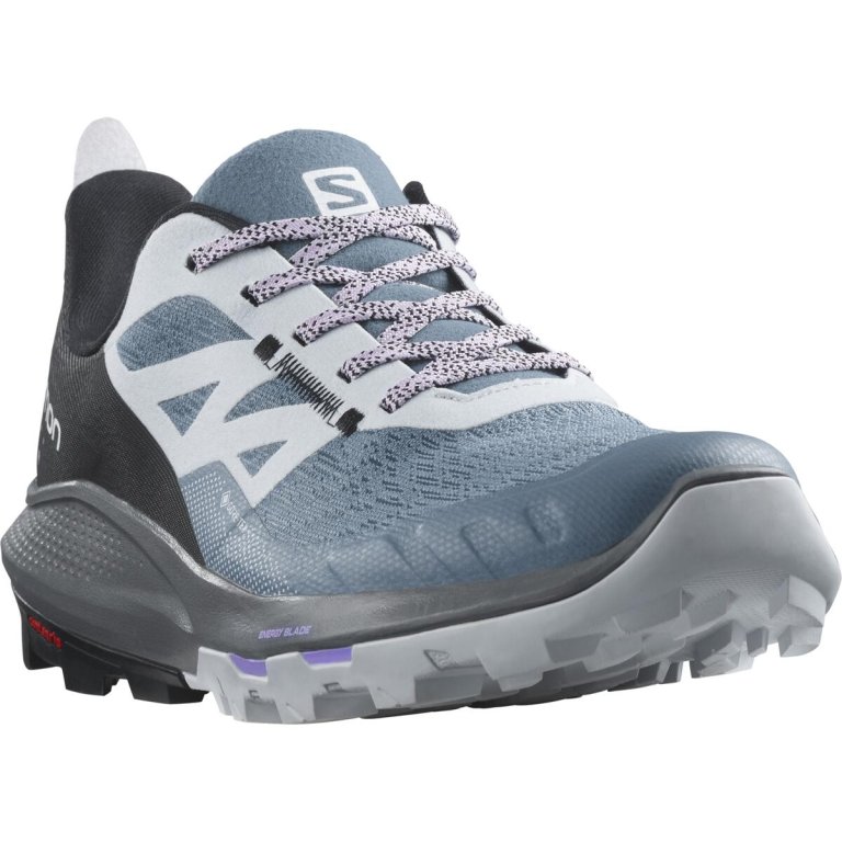 Кросівки Salomon Outpulse GTX W - сині/ сірі