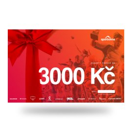 3000