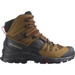 Взуття Salomon Quest 4 GTX M - коричневе