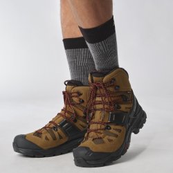 Взуття Salomon Quest 4 GTX M - коричневе