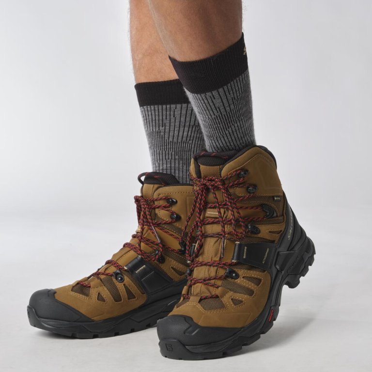 Взуття Salomon Quest 4 GTX M - коричневе