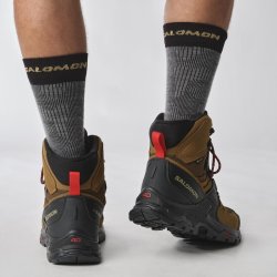 Взуття Salomon Quest 4 GTX M - коричневе