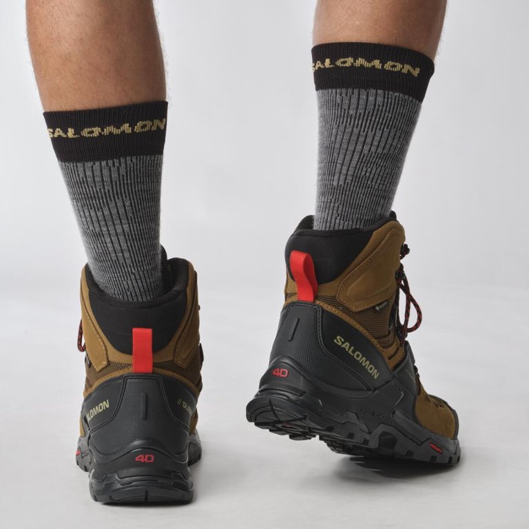 Взуття Salomon Quest 4 GTX M - коричневе
