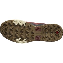Кросівки Salomon X Ultra 4 GTX M - коричневі