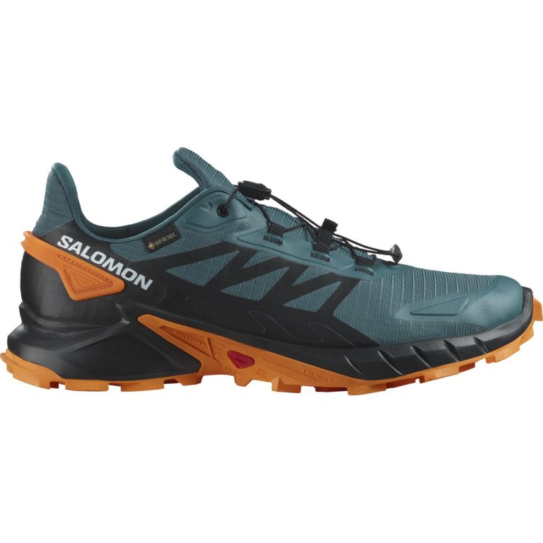 Кросівки бігові Salomon Supercross 4 GTX M - зелені/чорні