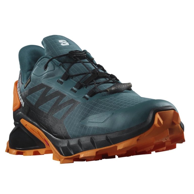 Кросівки бігові Salomon Supercross 4 GTX M - зелені/чорні