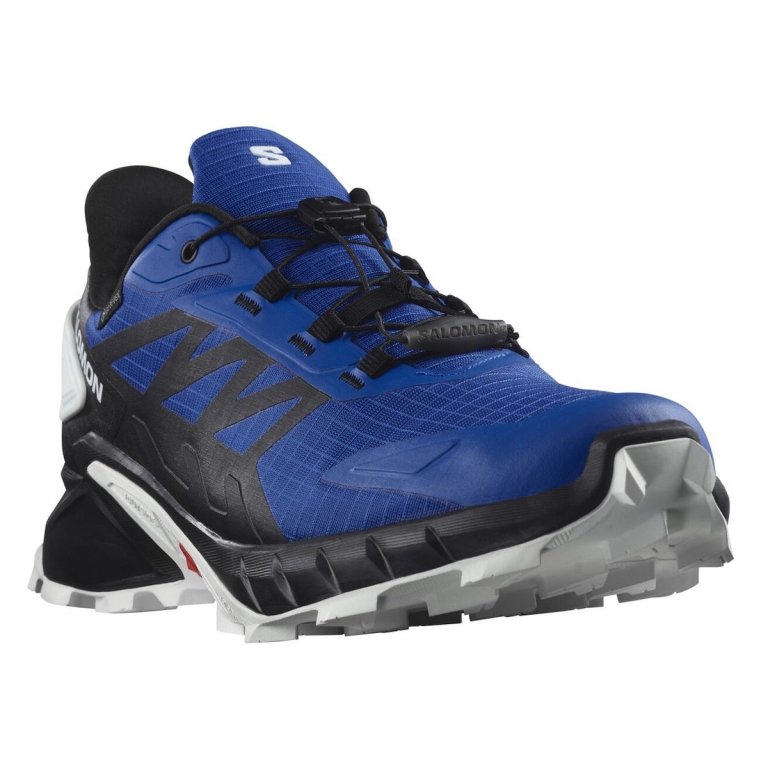 Кросівки бігові Salomon Supercross 4 GTX M - сині / чорні