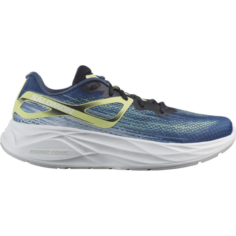 Кросівки Salomon Aero Glide M - сині