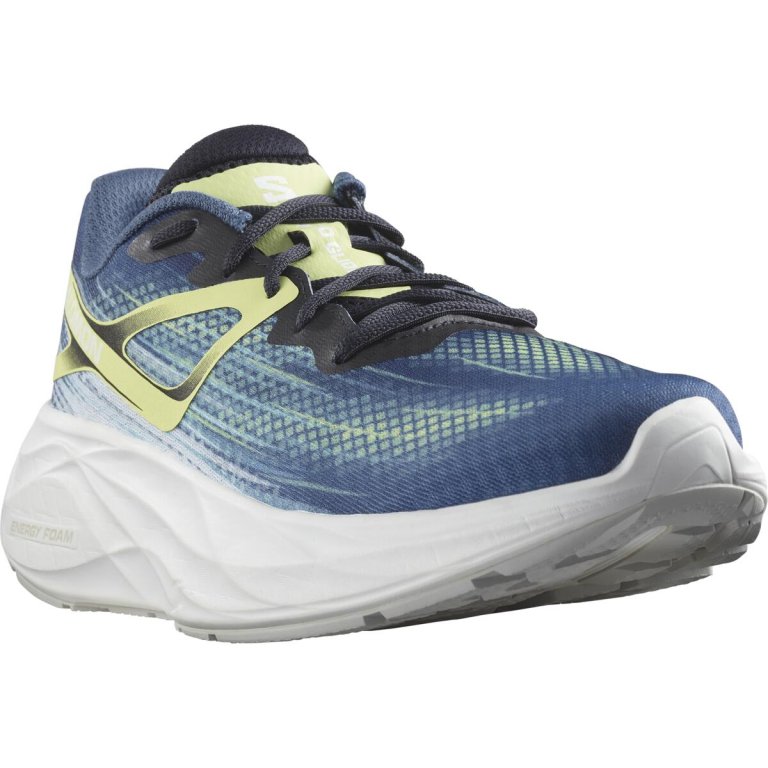 Кросівки Salomon Aero Glide M - сині