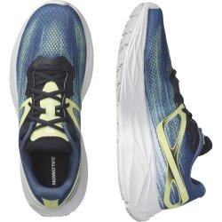 Кросівки Salomon Aero Glide M - сині