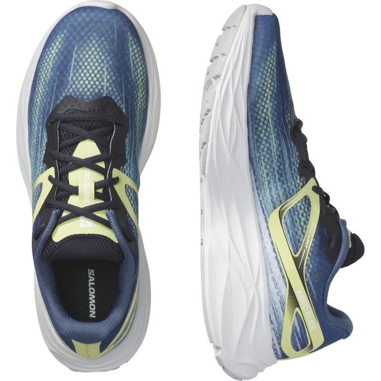 Кросівки Salomon Aero Glide M - сині