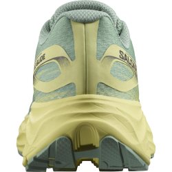 Кросівки Salomon Aero Glide M - зелені